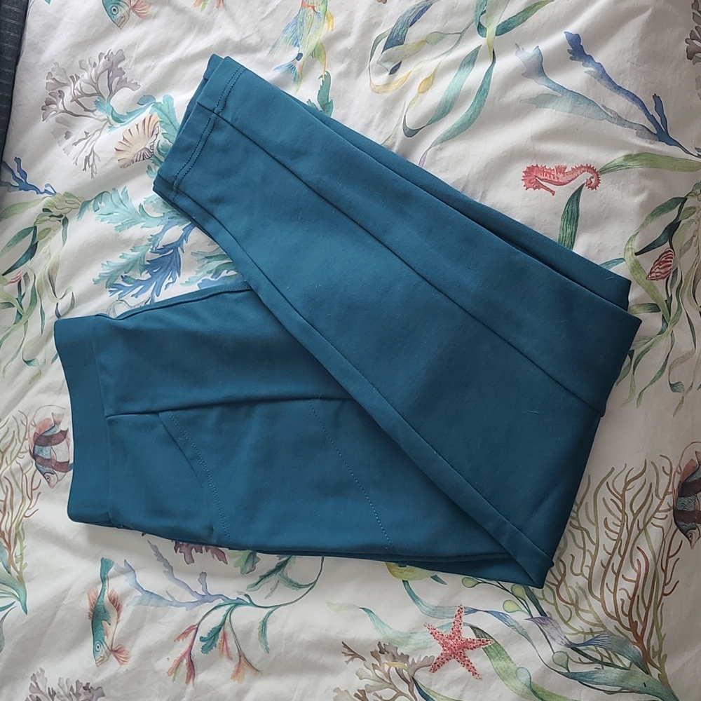 BetaBrand Journey Pants Teal